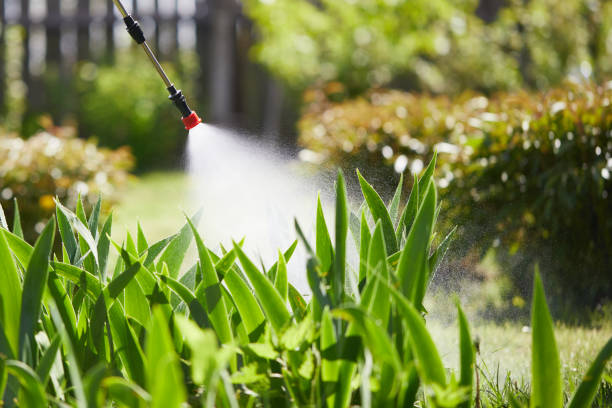 24/7 Emergency Cockroach Control experts in Sanibel, FL